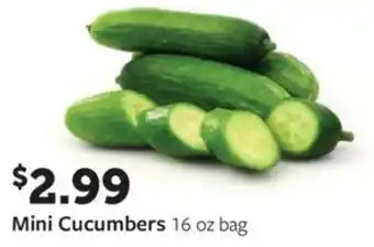 Fareway Mini cucumbers offer