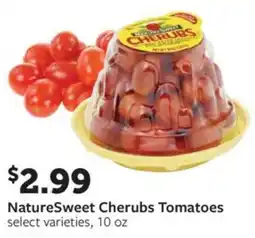 Fareway Naturesweet cherubs tomatoes offer