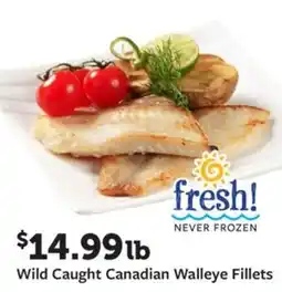 Fareway Wild caught canadian walleye fillets offer