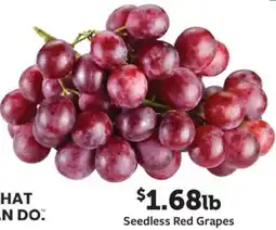 Fareway Seedless red grapes offer