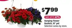 Grocery Outlet Hanging Flower Baskets, 10 pot offer