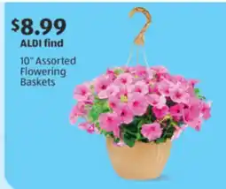 Aldi 10 Assorted Flowering Baskets offer