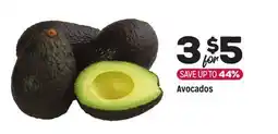 Grocery Outlet Avocados offer
