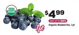 Grocery Outlet Organic Blueberries offer