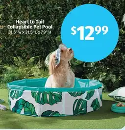 Aldi Heart to Tail Collapsible Pet Pool offer