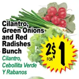 Superior Grocers Cilantro, Green Onions and Red Radishes Bunch offer
