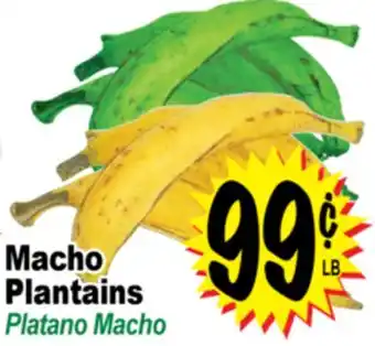 Superior Grocers Macho Plantains offer