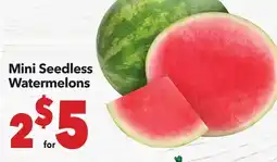 Vallarta Supermarkets Mini Seedless Watermelons offer