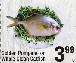 Super King Markets Golden Pompano or Whole Clean Catfi sh offer