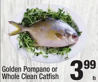 Super King Markets Golden Pompano or Whole Clean Catfi sh offer