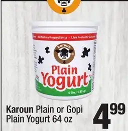 Super King Markets Karoun Plain or Gopi Plain Yogurt offer