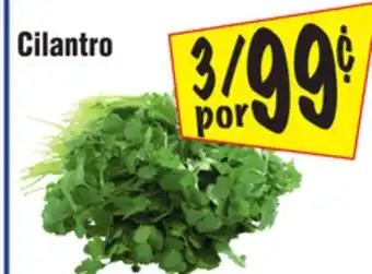 El Super Cilantro offer