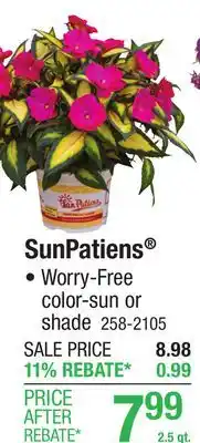 Menards SunPatiens Assorted Plants - 2.5 qt offer