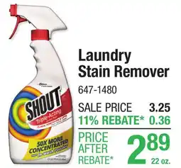 Menards Shout Triple-Acting Laundry Stain Remover - 22 oz offer