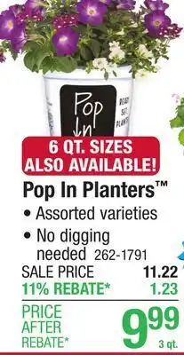 Menards Pop in Planter - 3 qt offer