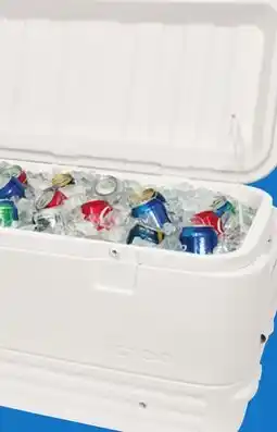 Menards Igloo Polar Cooler - 120 Quart offer