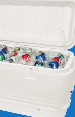 Menards Igloo Polar Cooler - 120 Quart offer