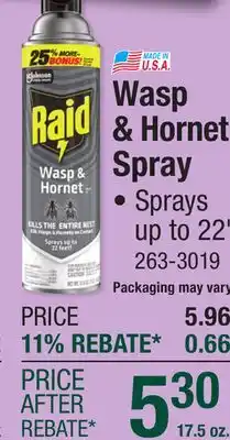 Menards Raid Aerosol Wasp & Hornet Killer - 17.5 oz offer