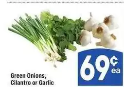 Albertsons Green Onions, Cilantro or Garlic offer