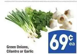 Albertsons Green Onions, Cilantro or Garlic offer