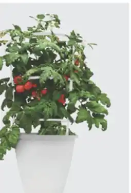 The Home Depot 10 Vegetable Cage offer