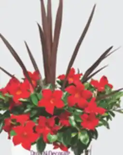 The Home Depot 10 Drop-N-Decorate offer