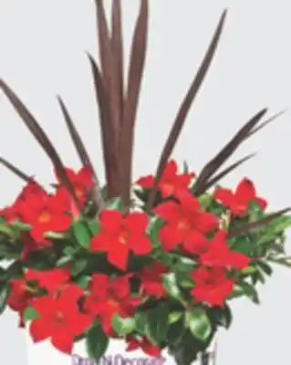 The Home Depot 10 Drop-N-Decorate offer