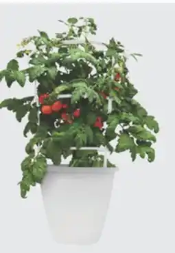 The Home Depot 10 Planter offer