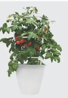 The Home Depot 10 Planter offer