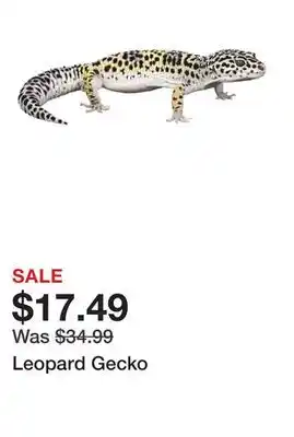 Petsmart Leopard Gecko offer