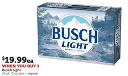 Fareway Busch light offer