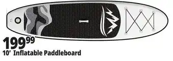 Ocean State Job Lot 10' Inflatable Paddleboard offer