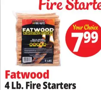 Ocean State Job Lot 4 Lb. Fire Starters offer