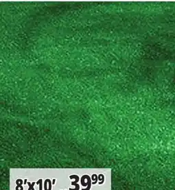 Ocean State Job Lot 8' x 10' All-weather artificial Turf offer