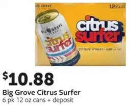 Fareway Big grove citrus surfer offer