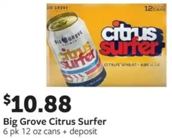 Fareway Big grove citrus surfer offer