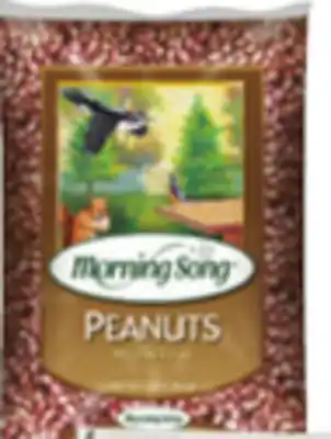 Ocean State Job Lot 3 Lb. Peanut Pieces offer