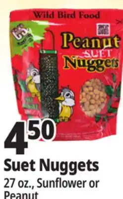 Ocean State Job Lot Suet Nuggets offer