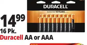 Ocean State Job Lot AA or AAA offer