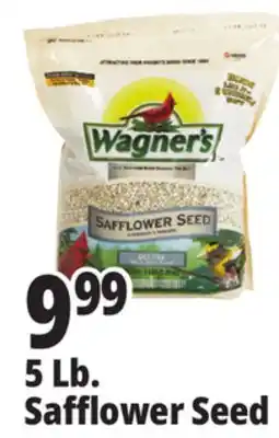 Ocean State Job Lot Safflower Seed Deluxe Wild Bird Food offer