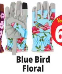 Ocean State Job Lot Garden Grove Women's Cushioned Palm Synthetic Leather Blue Bird Floral Garden Glove offer