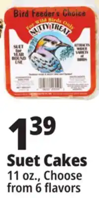 Ocean State Job Lot Nutty Treat Suet 11 oz offer