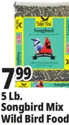 Ocean State Job Lot 5 Lb. Songbird Mix Wild Bird Food offer
