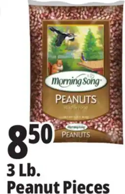 Ocean State Job Lot Wildlife Food Peanuts 3 lbs offer