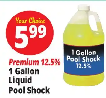 Ocean State Job Lot Liquid Pool Shock 1 Gal offer