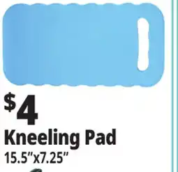Ocean State Job Lot Tiller & Rowe EVA Foam Kneeling Pad 15.5 offer