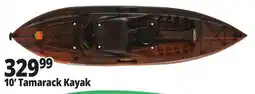 Ocean State Job Lot Lifetime Tamarack 10' Sit-On Kayak offer