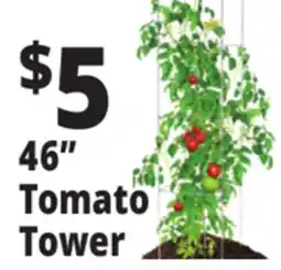 Ocean State Job Lot Folding Tomato Tower 46 offer