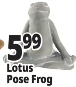 Ocean State Job Lot Stone Frog Statue offer