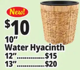 Ocean State Job Lot 10 Water Hyacinth offer